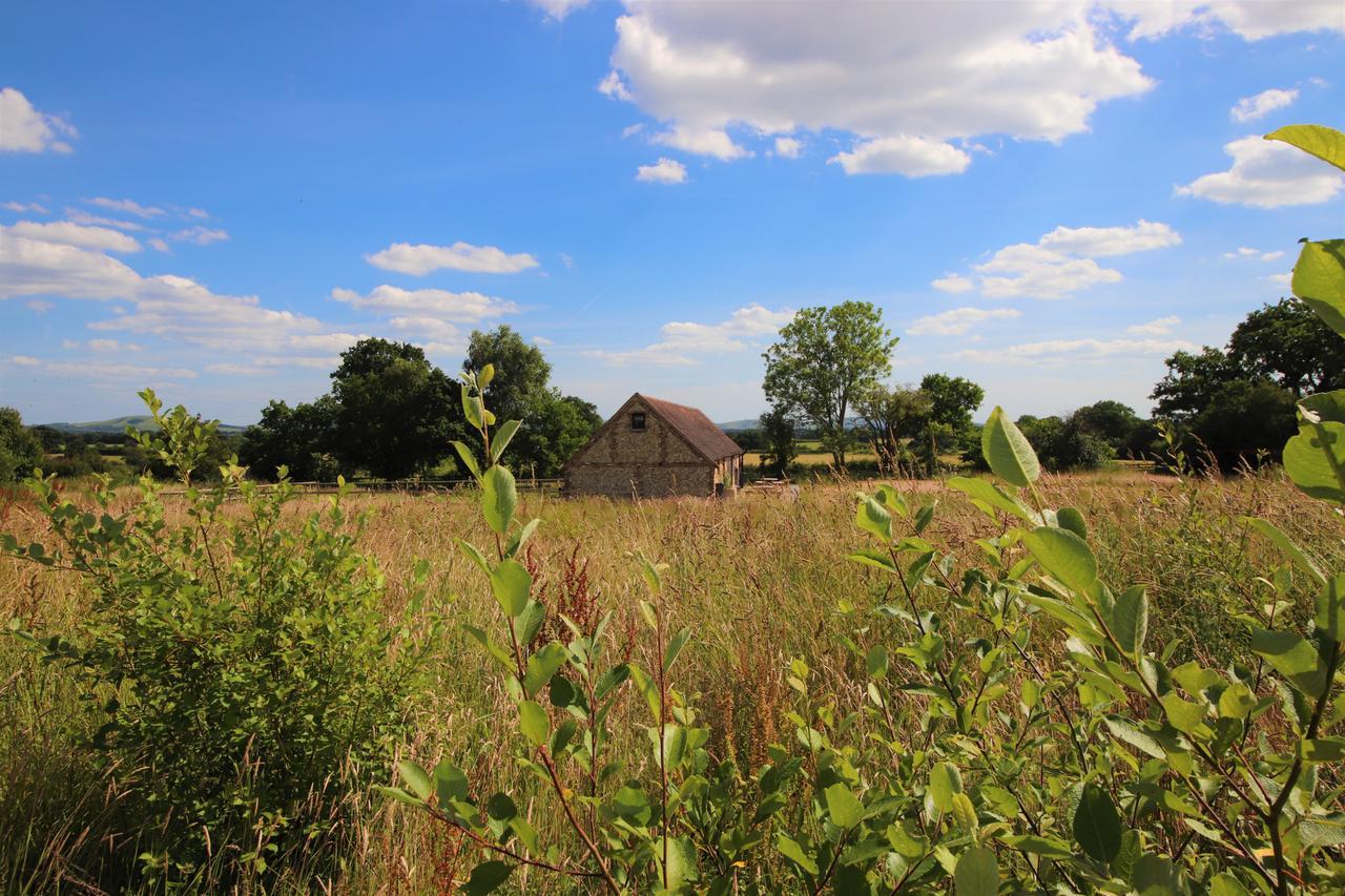 North Cottage - Country Retreat In The Heart Of Sussex -Twineham Exteriör bild